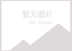 伊春带岭从彤司机有限公司